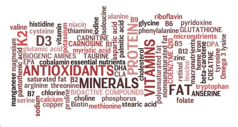 Macroelementele: ce fac calciul, fosforul, magneziul, sodiul, potasiul, clorul și sulful &icirc;n organism
