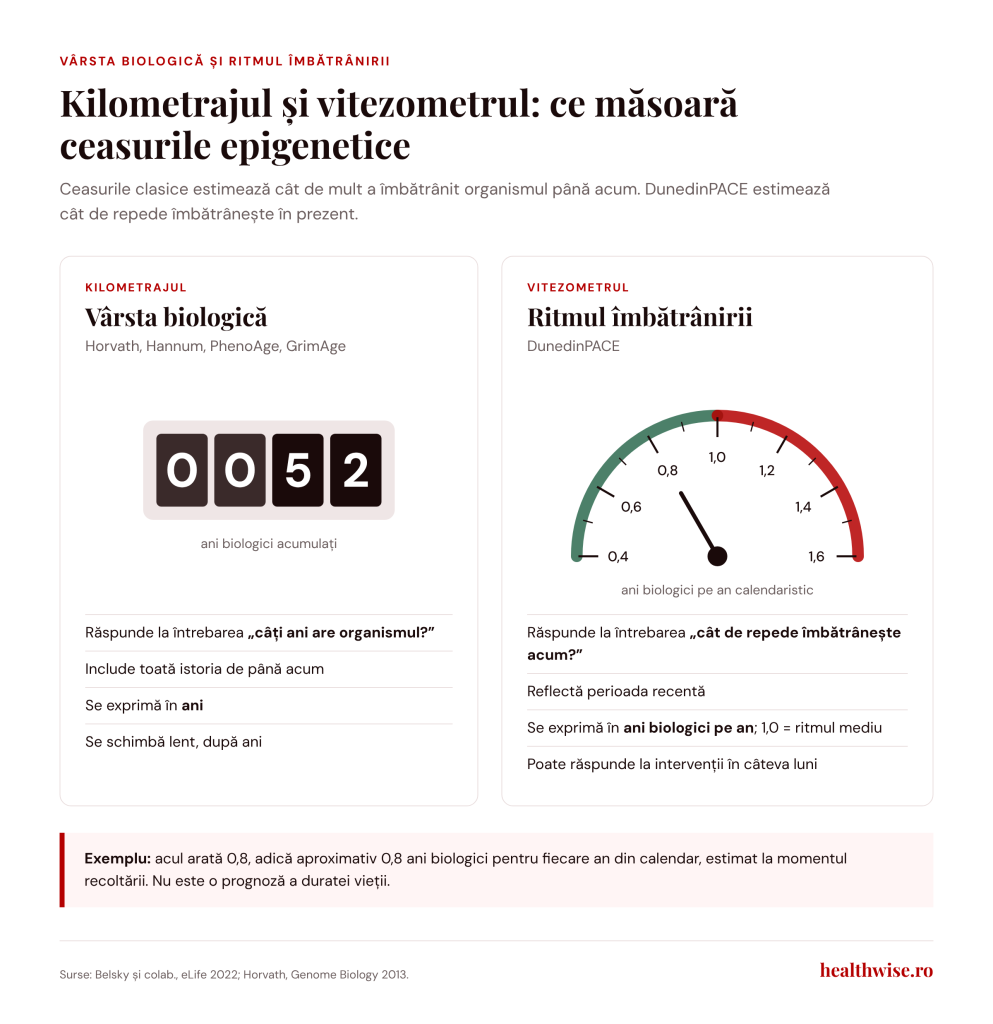 Diferența dintre v&acirc;rsta biologică și ritmul &icirc;mbătr&acirc;nirii măsurat de DunedinPACE