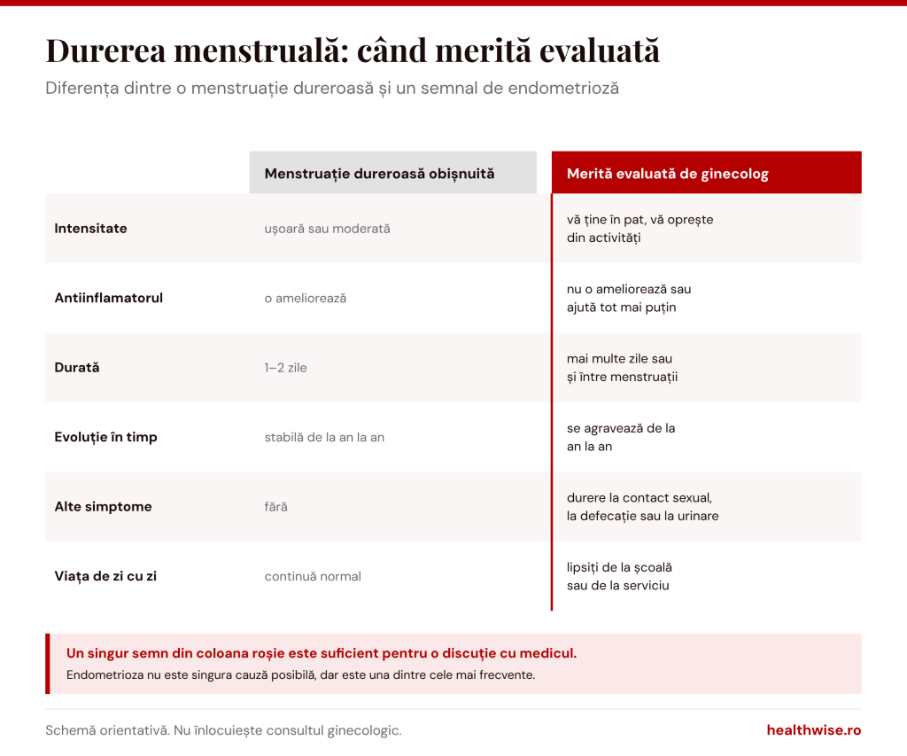 Diferența dintre o menstruație dureroasă obișnuită și durerea care merită evaluată de ginecolog