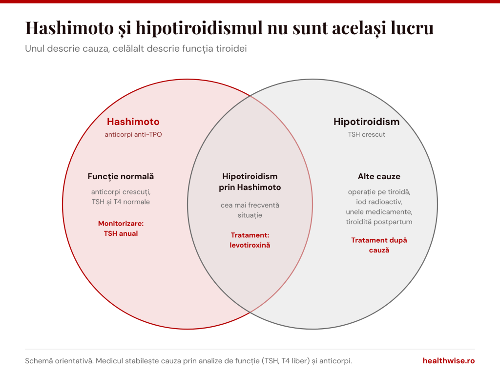 Diferența dintre Hashimoto și hipotiroidism: Hashimoto cu funcție normală, hipotiroidism prin Hashimoto și hipotiroidism din alte cauze
