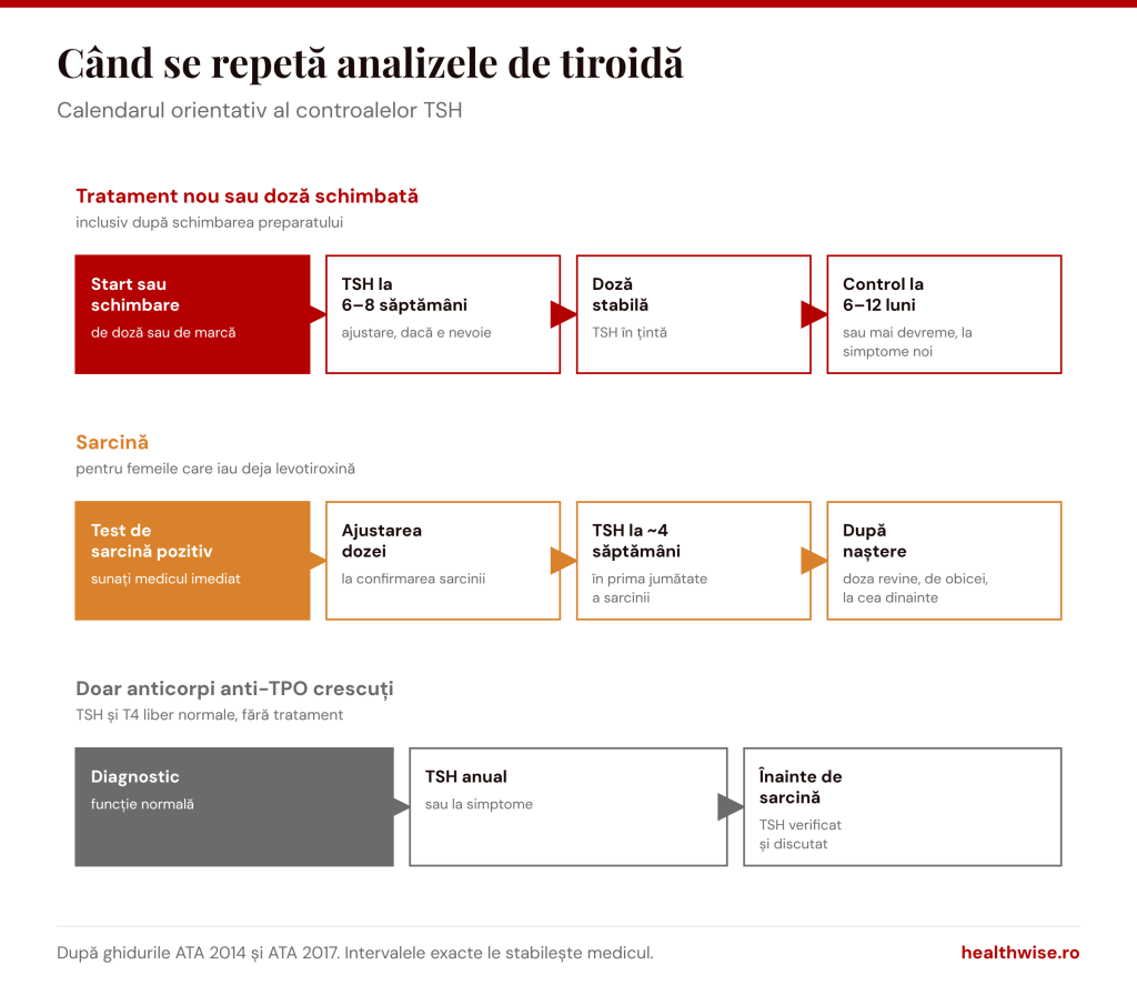 Calendarul controalelor TSH &icirc;n hipotiroidism: după schimbarea dozei, &icirc;n sarcină și c&acirc;nd există doar anticorpi crescuți
