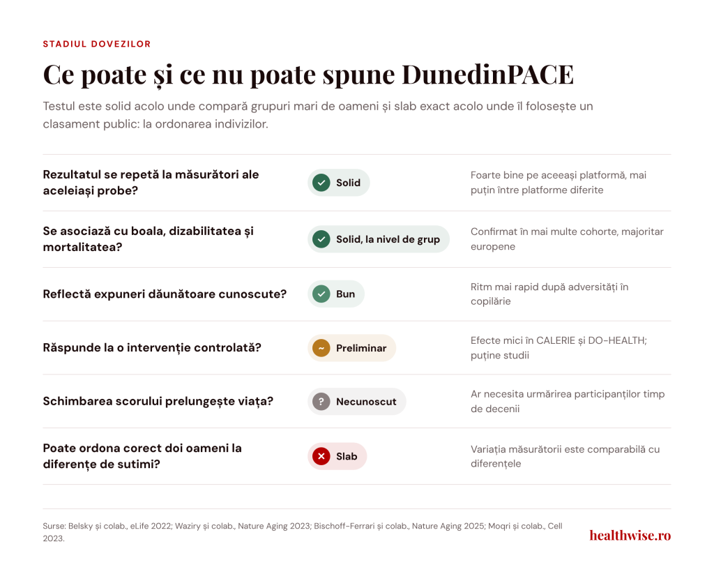 Ce poate și ce nu poate spune testul DunedinPACE, după stadiul dovezilor